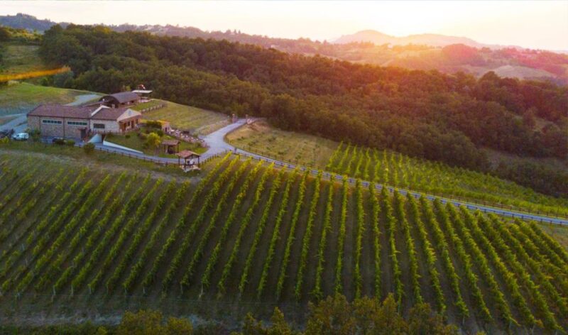 Parma: Winery Tour and tasting - Tasting a Selection of Emilia-Romagna Wines