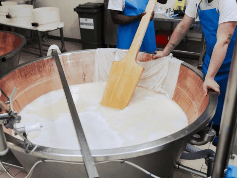 Parmesan Cheese Factory Tour & Tasting near Parma - Authentic Parmigiano Reggiano Experience Near Parma for $55.80