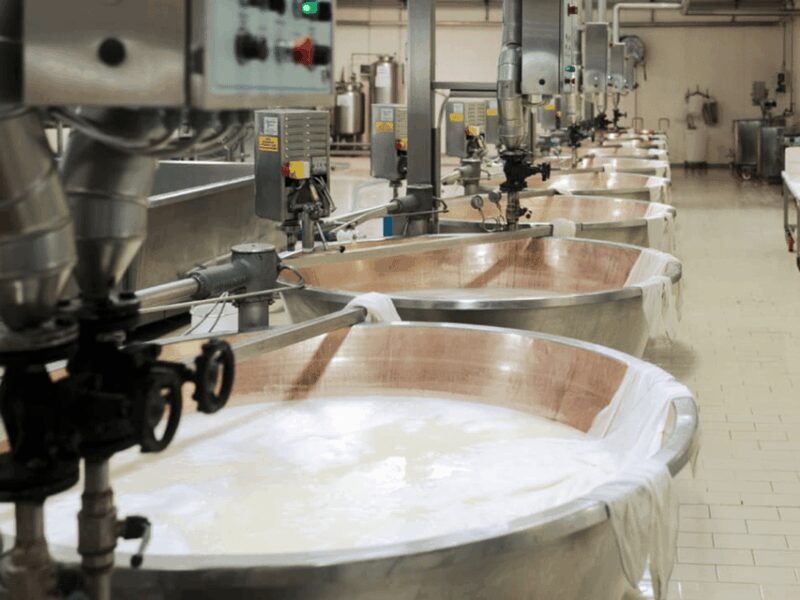 Parmesan Cheese Factory Tour & Tasting near Parma - Logistics of the Tour and Meeting Points