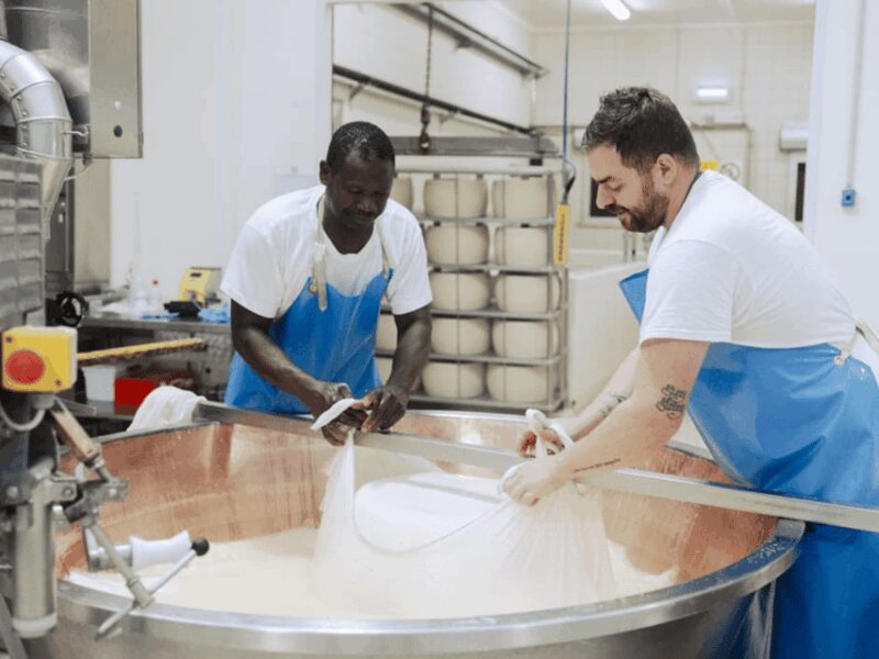 Parmesan Cheese Factory Tour & Tasting near Parma - Accessibility and Group Size