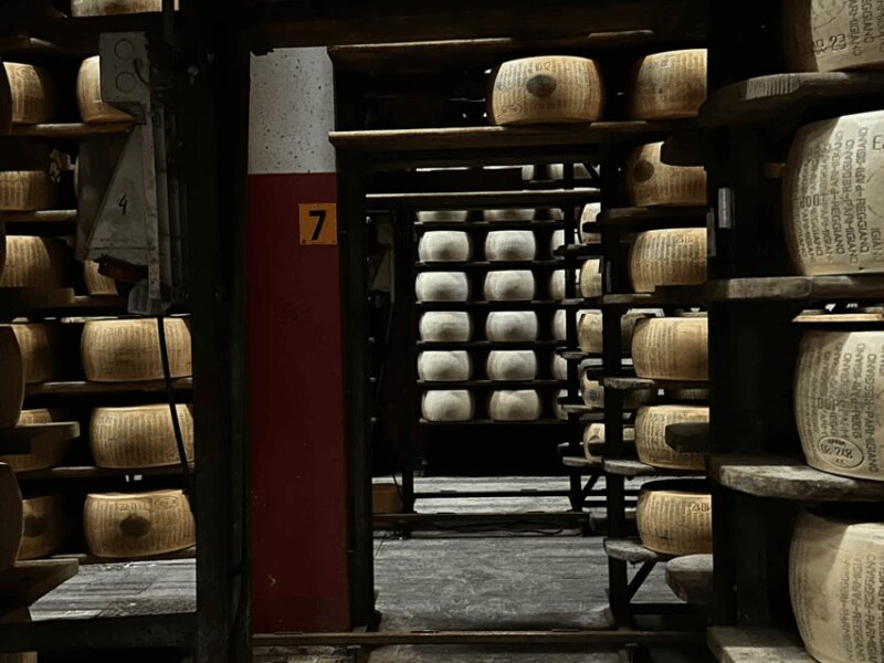 Parmesan Cheese Tour & Tasting in Modena - Exploring the Parmesan Production Process