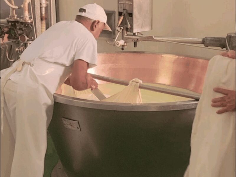 Parmesan Cheese Tour & Tasting in Modena - Tasting Parmesan at Different Stages of Aging