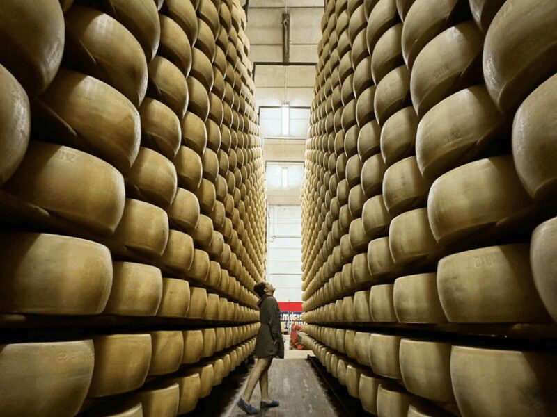 Parmesan Cheese Tour & Tasting in Modena - Logistics and Accessibility of the Tour