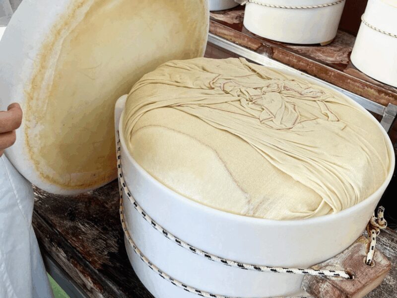 Parmesan Cheese Tour & Tasting in Modena - Who Will Appreciate This Tour?