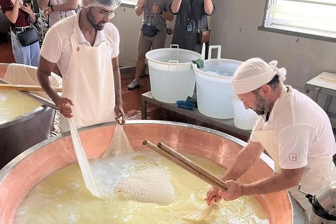 Parmigiano Cheese Factory Visit and Tasting - Visiting a Traditional Parmigiano Reggiano Dairy in Parma