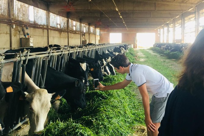 Parmigiano Reggiano & Balsamic Vinegar Private Tour and Tasting - Detailed Tastings of Aged Cheeses and Vinegars