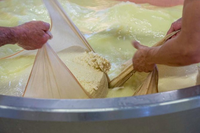 Parmigiano Reggiano Cheese Factory Tour & Tasting Experience - Tour Logistics: Group Size, Pickup, and Accessibility