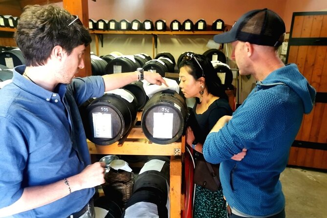 Parmigiano Wine and Balsamic Vinegar Experience from Bologna - Visiting a Parmigiano Reggiano Factory for Tasting and Insights