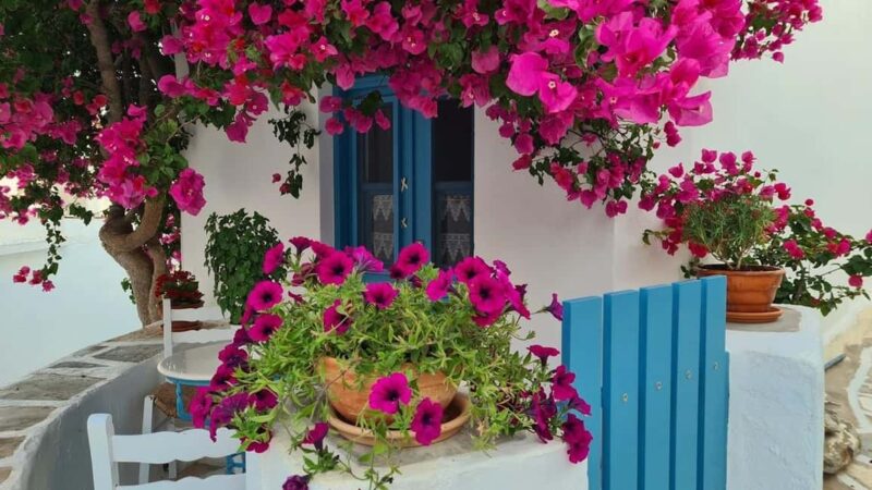 Paros Discovery  Culture, Taste & Island Life - Explore the Authentic Heart of Paros with the Culture, Taste & Island Life Tour