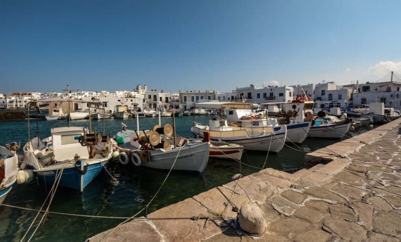 Paros: Lefkes, Naousa, Fishing Village Tour with Pie Tasting - Ease of Logistics and Group Experience