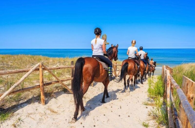 Paros: Morning Island Horseback Riding Adventure - Key Points