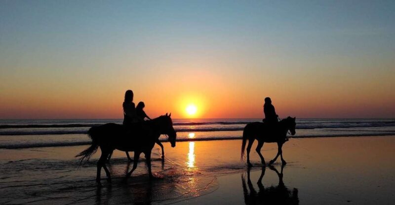 Paros: Morning Island Horseback Riding Adventure - An Early Morning Ride for Tranquil Exploration