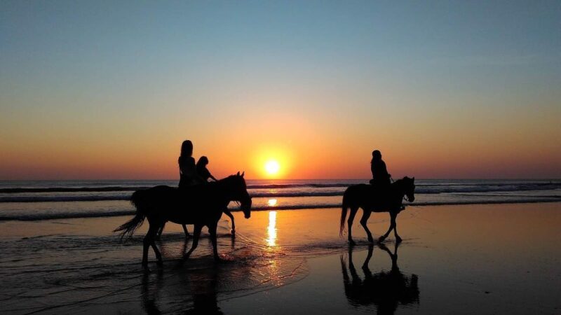 Paros: Morning Island Horseback Riding Adventure - Practical Tips for a Smooth Ride