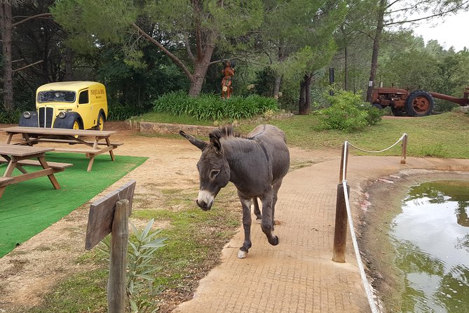 Parque da Mina Entrance Ticket - Parque da Mina: An Overview of the Setting and Location