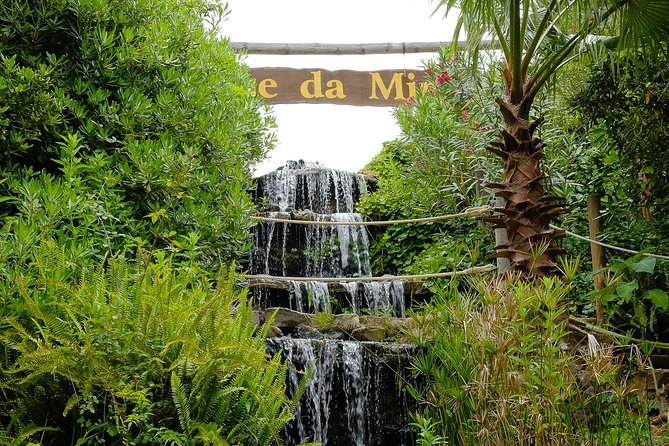 Parque da Mina Entrance Ticket - What You Can Expect at Parque da Mina
