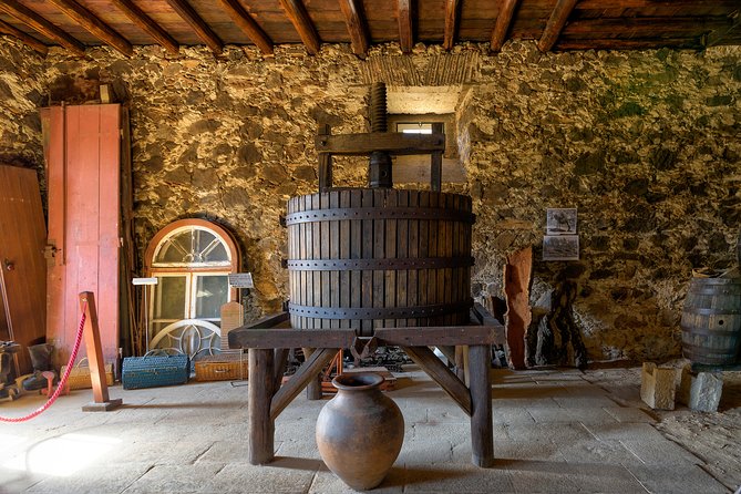 Parque da Mina Entrance Ticket - Reviews and Visitor Feedback