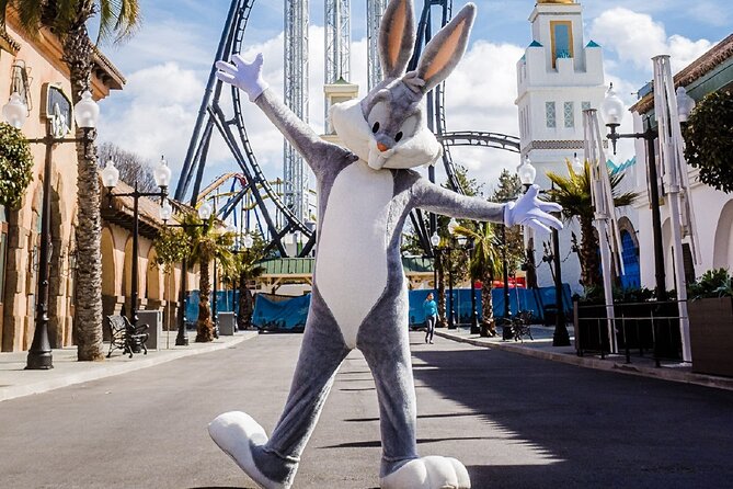 Parque Warner Day Tour from Madrid - Live Shows and Rides: What Visitors Can Expect