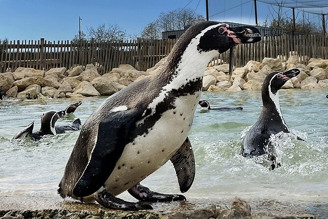 Parrot World Immersive Wildlife Park Entry Ticket next to Paris - Exploring the Amazon and Patagonia Treks