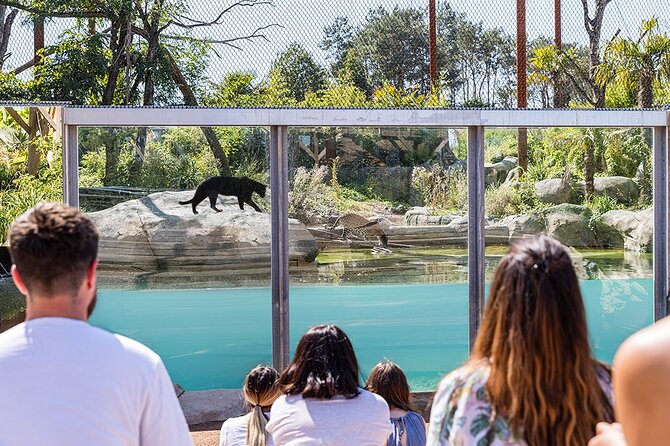 Parrot World Immersive Wildlife Park Entry Ticket next to Paris - Parrot World: Final Thoughts on Value and Suitability