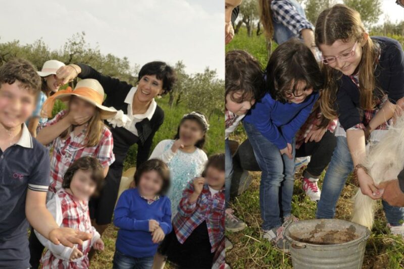 Partinico: Farm's Animals and Aromatic Garden Experience - Walks Through the Olive, Citrus, and Vineyard Areas