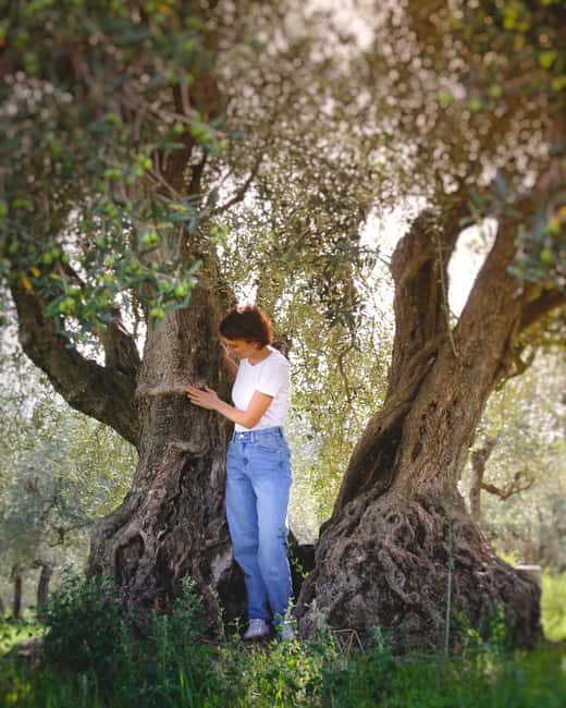 Partinico: Sicilian Olive Grove Walk & Homemade Aperitif - Tasting Authentic Sicilian Olive Oil and Traditional Snacks