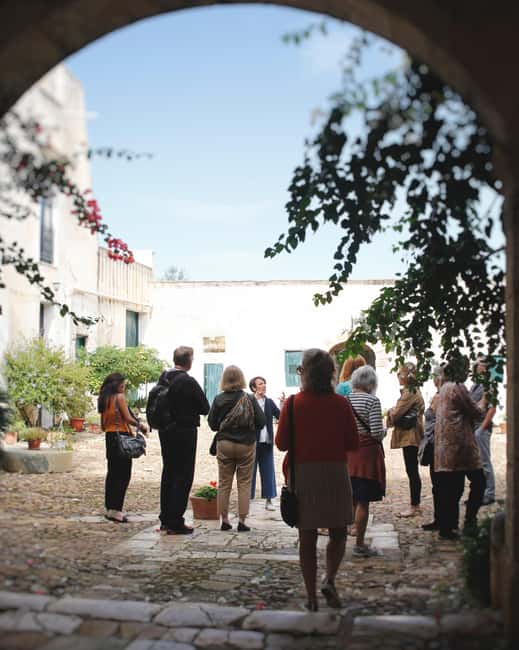 Partinico: Sicilian Olive Grove Walk & Homemade Aperitif - What Sets This Tour Apart from Similar Experiences