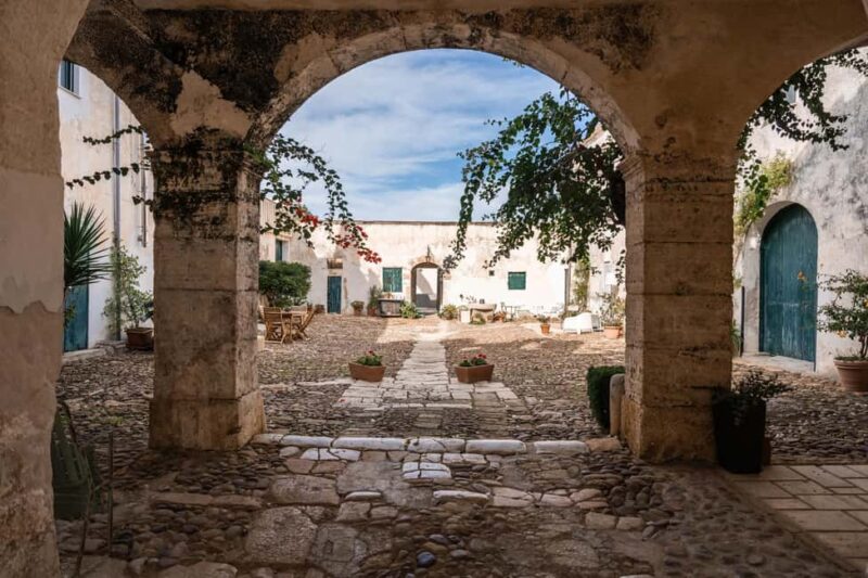 Partinico: Sicilian Olive Grove Walk & Homemade Aperitif - Final Thoughts on the Partinico Olive Grove and Home Tour