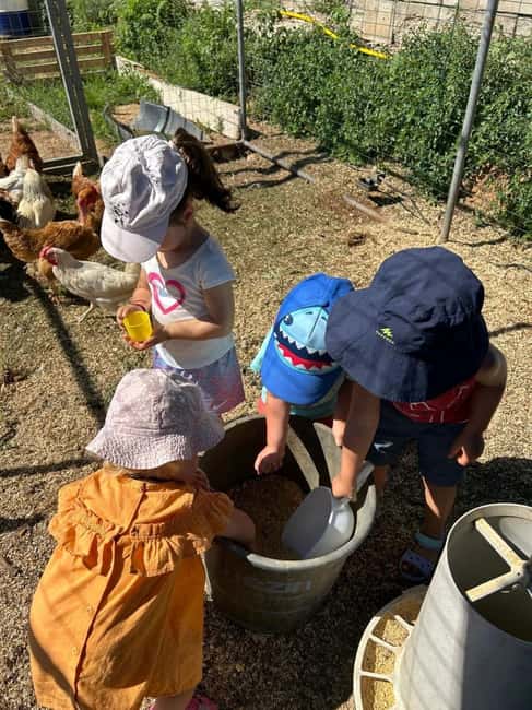 Partinico: Tasting extra virgin olive oil and vegetables on the farm - Harvesting Seasonal Vegetables in Organic Gardens