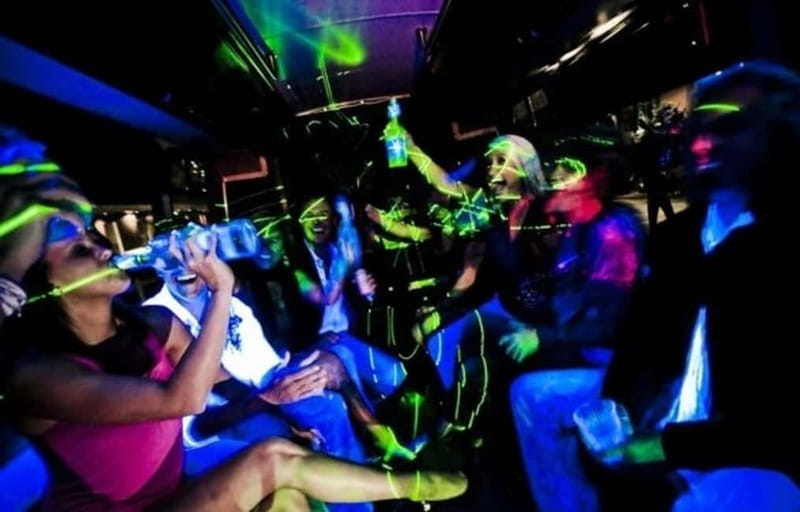 Party Bus & Dancer for 3 hours in Vilnius Private tour - The Flexibility and Privacy of a Private Tour in Vilnius