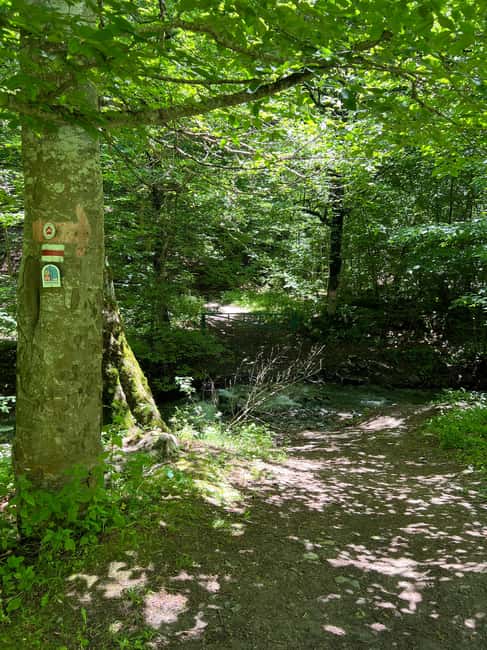 Parz Lake to Goshavank: Forest Hike|Wild Mountain Tea Ritual - Key Points