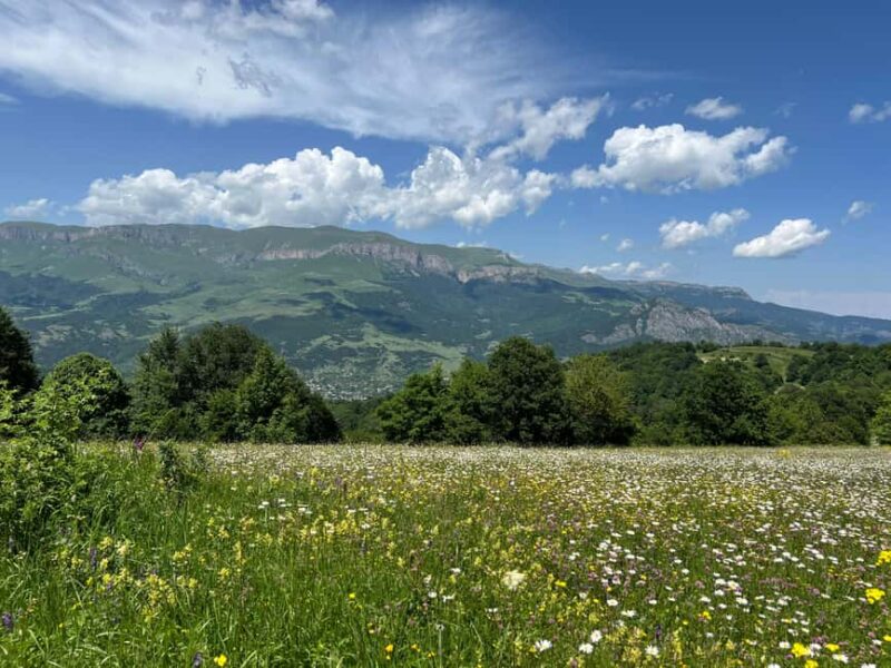 Parz Lake to Goshavank: Forest Hike|Wild Mountain Tea Ritual - Participating in the Wild Mountain Herbal Tea Ritual