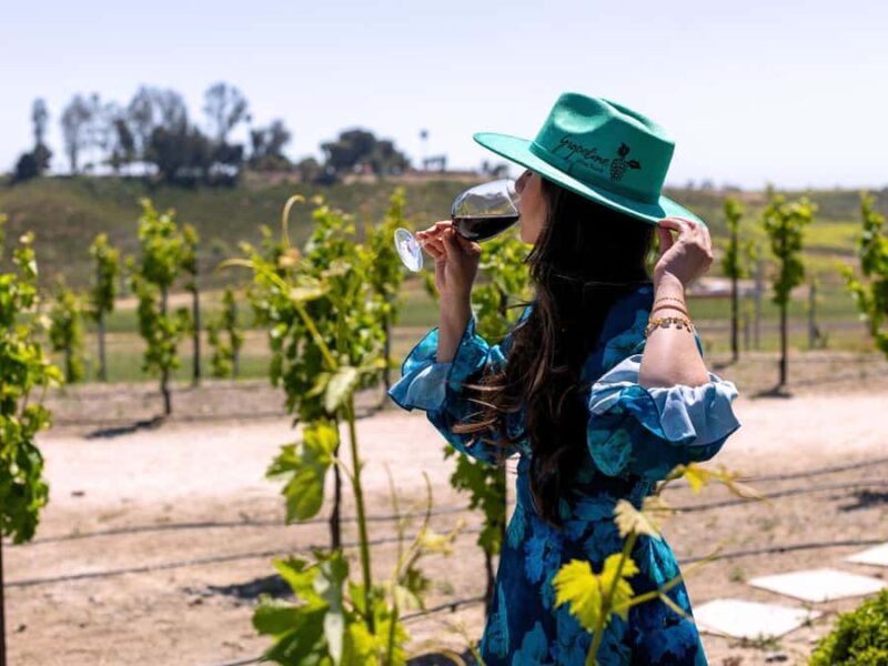 Paso Robles: 3 Wineries Tour with Picnic Lunch and Tasting - Accessibility and Practical Tips
