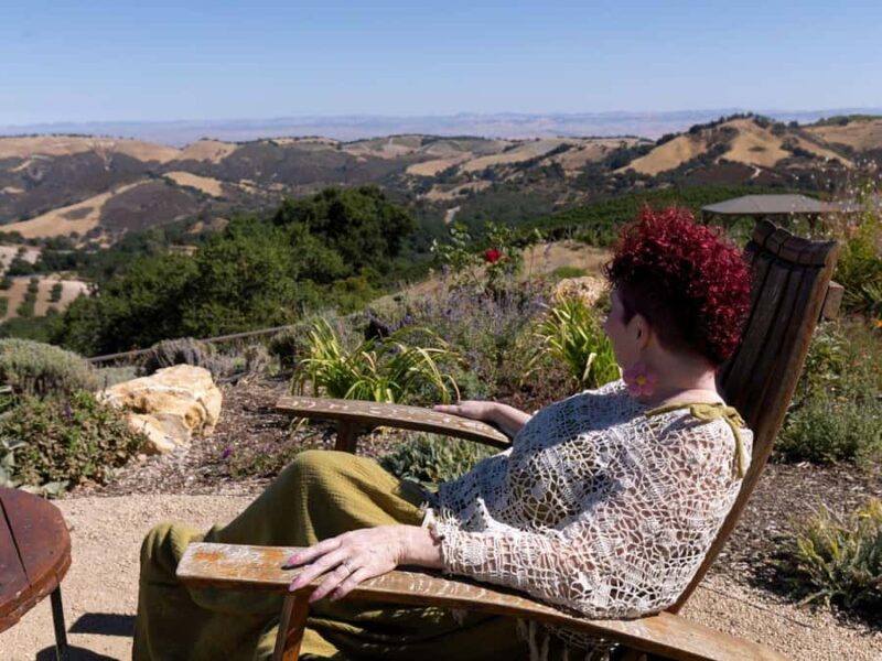 Paso Robles: 3-Winery Tour with Picnic Lunch - Accessibility and Age Restrictions