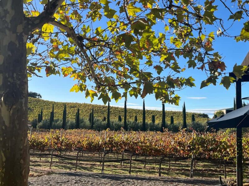 Paso Robles: Private Wine Tour, guided by a Winemaker - Visiting Three Carefully Selected Estate Wineries