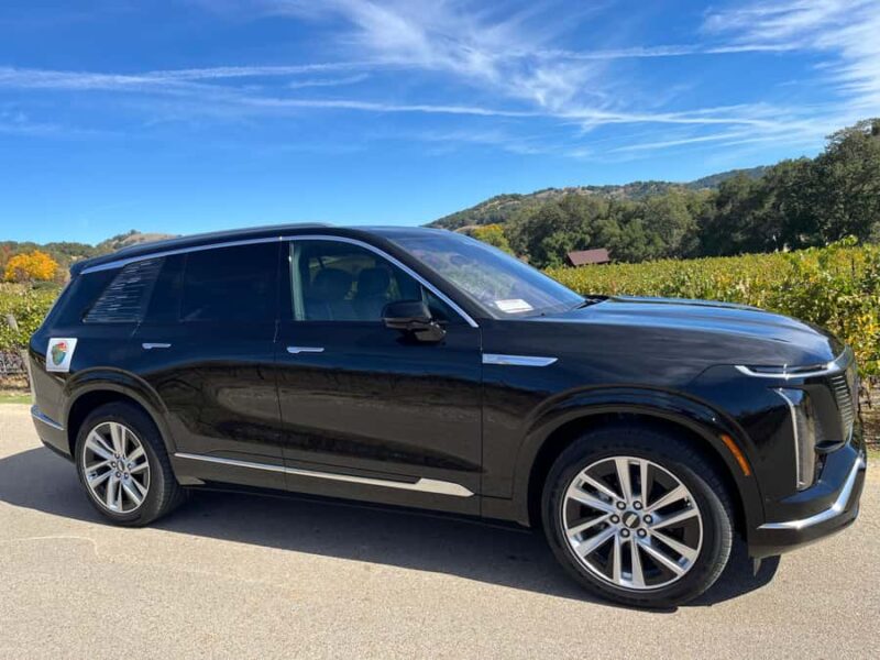 Paso Robles: Private Wine Tour, guided by a Winemaker - Comparing This Tour to Similar Experiences