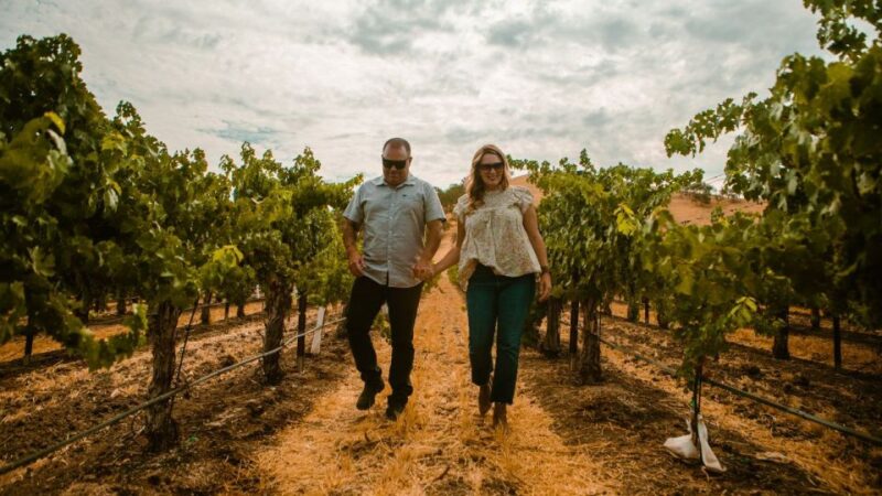 Paso Robles: The Luxe Wine Trail Excursion - The Cass Winery Experience: An Award-Winning Finale