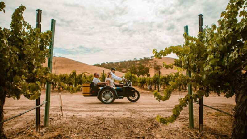 Paso Robles: The Luxe Wine Trail Excursion - The Value of This Wine and Ride Experience