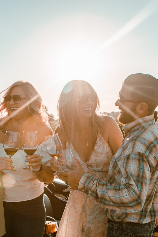 Paso Robles: Vineyard Rides Wine Adventure - Key Points