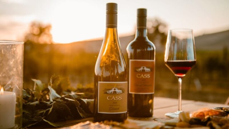Paso Robles: Vineyard Rides Wine Adventure - The Guides: Knowledgeable and Personable