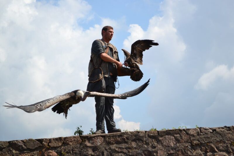 Pass Alsace : The Best of Alsace in your Pocket - Exploring Alsatian Villages and Castles