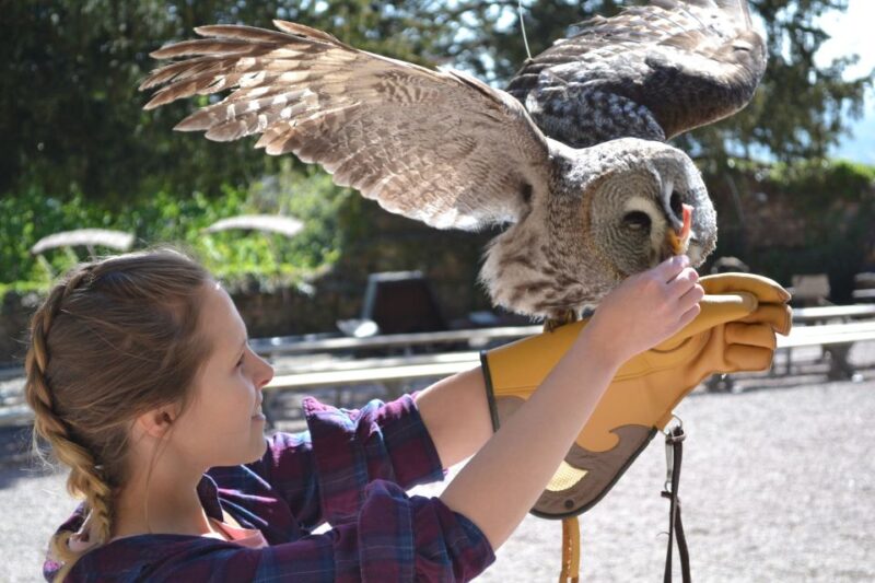 Pass Alsace : The Best of Alsace in your Pocket - Wildlife Parks and Nature Experiences in Alsace