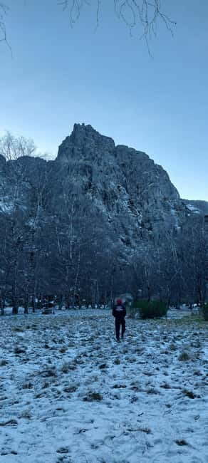 Passeio Guiado em 4x4 para conhecer a Serra da Estrela - Encountering Local Wildlife and Flora in Serra da Estrela