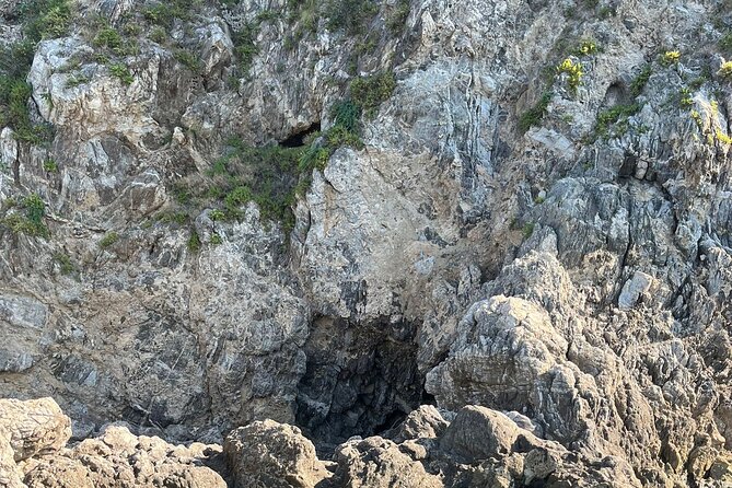 Passenger transfer service from Torre Faro (Messina) to Scilla round trip - Free Time in the Town of Scilla