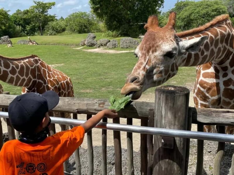 Passin Miami: 30+ Attractions, eSIM & 1-Way Airport Transfer - Key Points