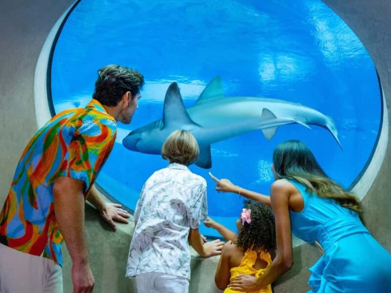 Passin Miami: 30+ Attractions, eSIM & 1-Way Airport Transfer - Limitations and Considerations