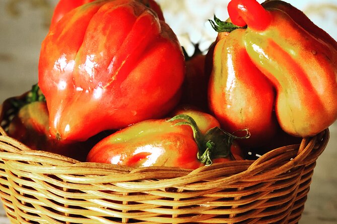 Pasta and Pizza cooking class in Cortona - Practicalities and Additional Costs