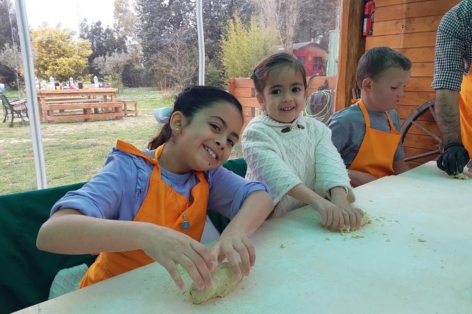 Pasta and Pizza Master Class and Tiramisu tasting - Booking and Cancellation Policies