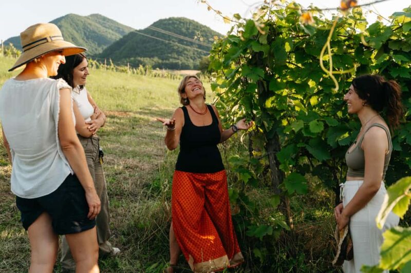 PASTA and WINE: An experience between greenery and peace, taste and companionship - Why Choose This Tour in Emilia-Romagna?