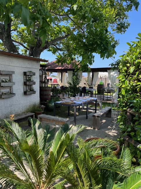 Pasta Cooking Class in a Garden near Pompeii - Making Pasta: A Hands-On Journey in an Intimate Setting