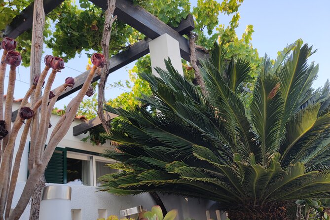 Pastel de Nata Perfection: Hands-On Class in Algarve - Value for Money and Booking Insights